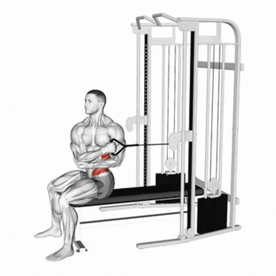 Cable Seated Cross Arm Twist