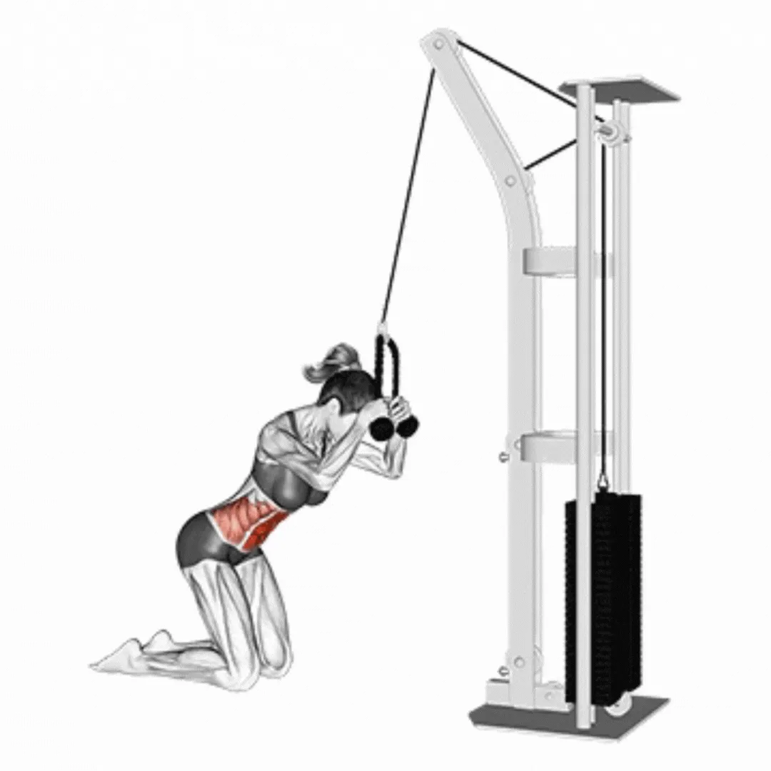 Cable Kneeling Crunch