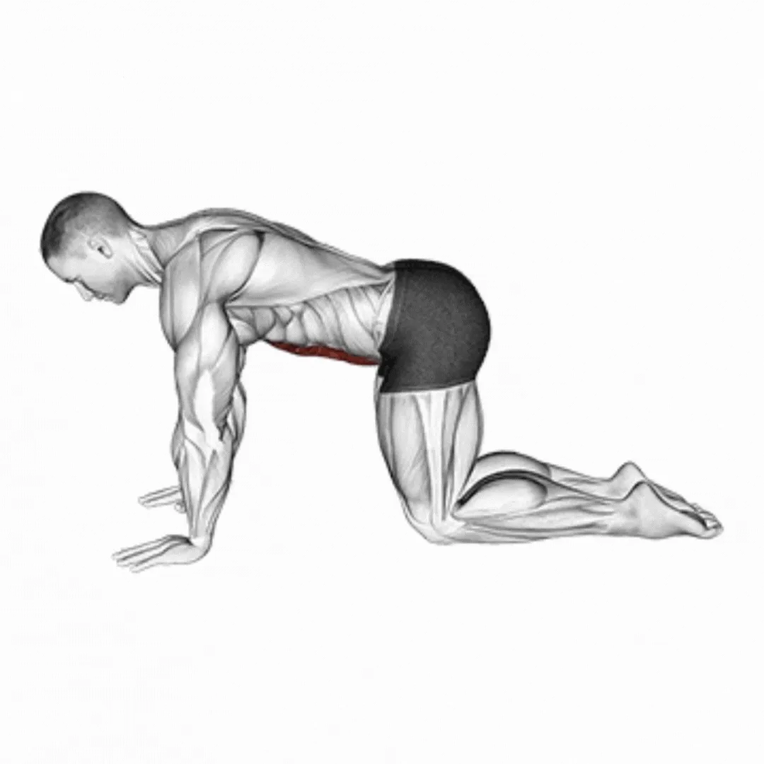 4 Point Tummy Vacuum Exercise