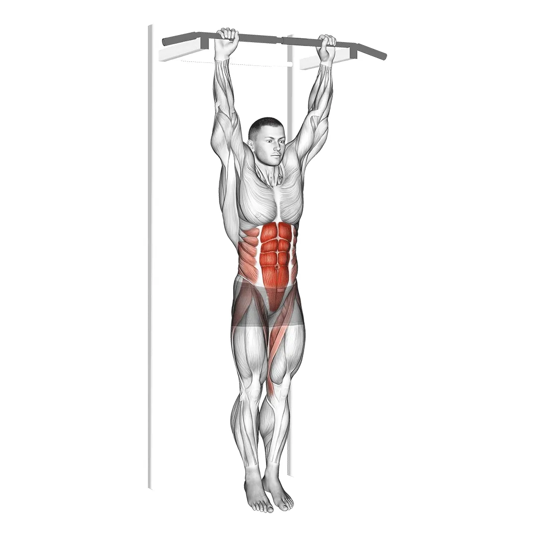 Hanging Knee Raises