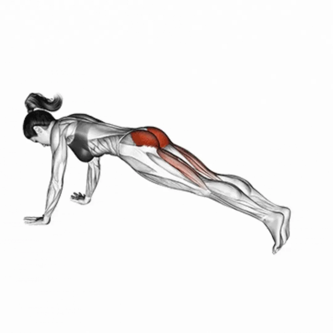 Plank Leg Lift
