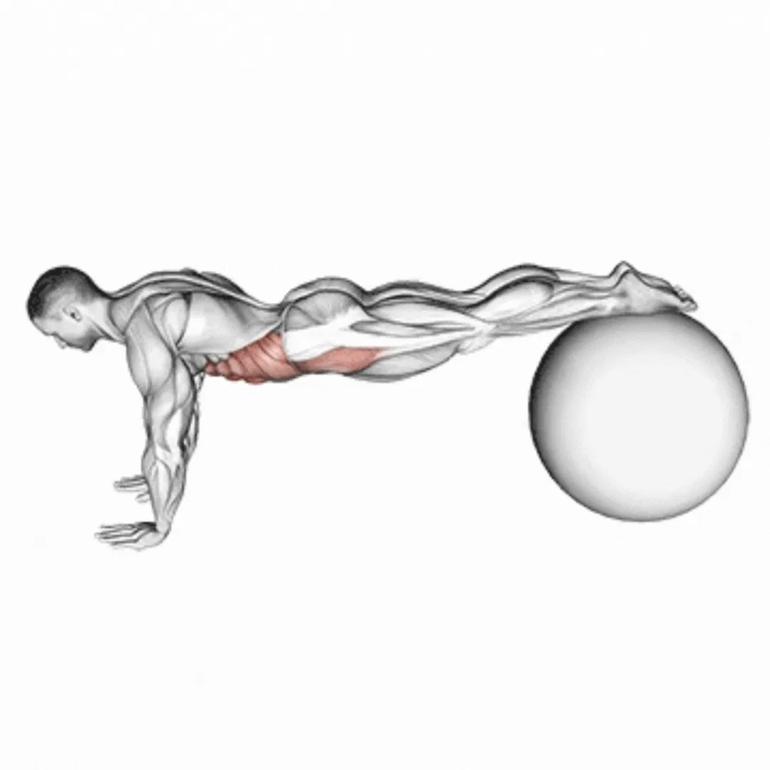 Stability Ball Knee Tuck