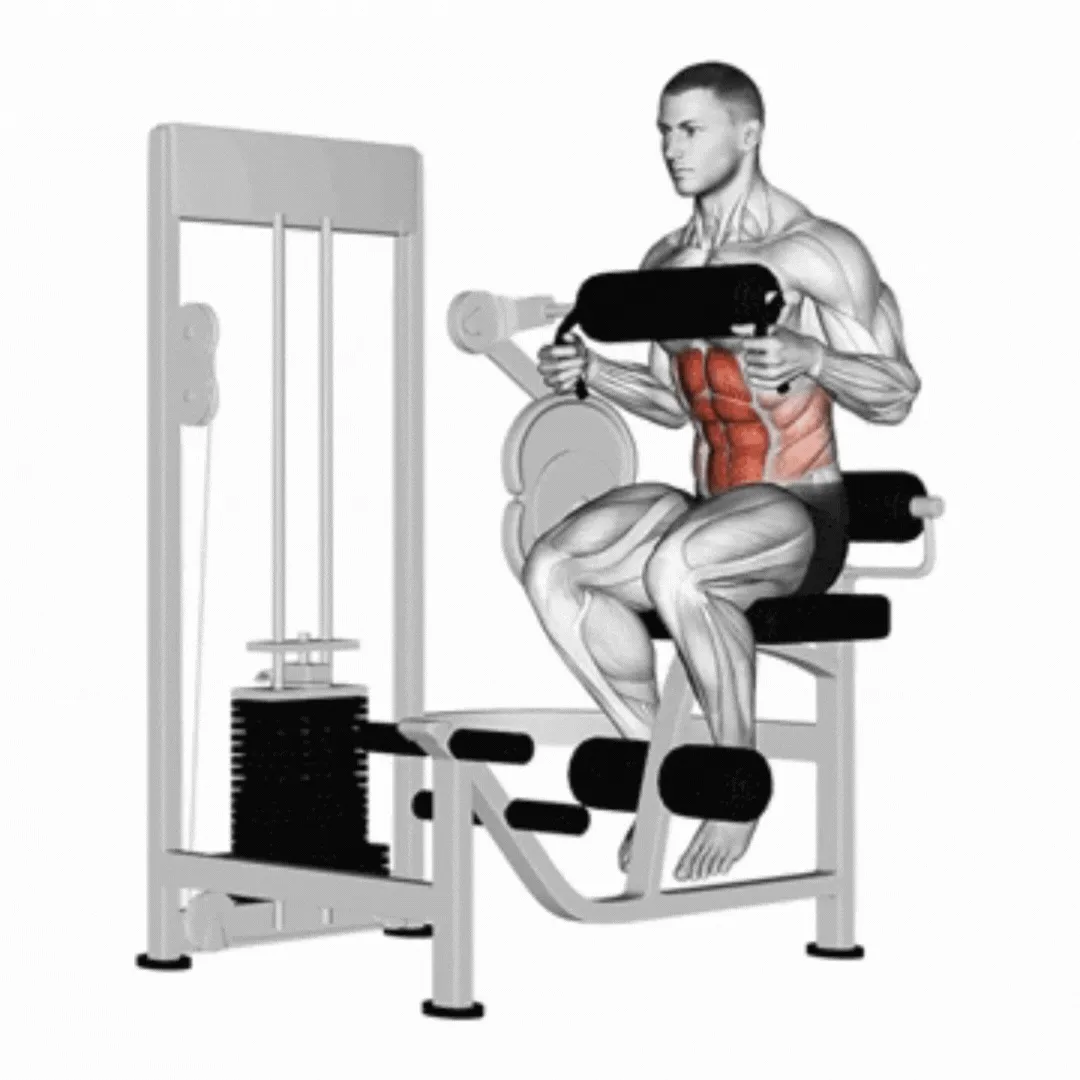 Lever Seated Crunch