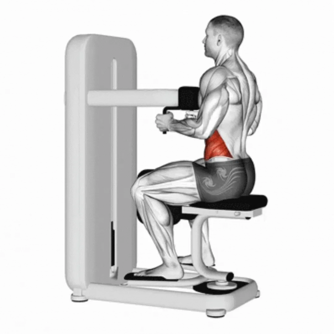 Lever Seated Twist