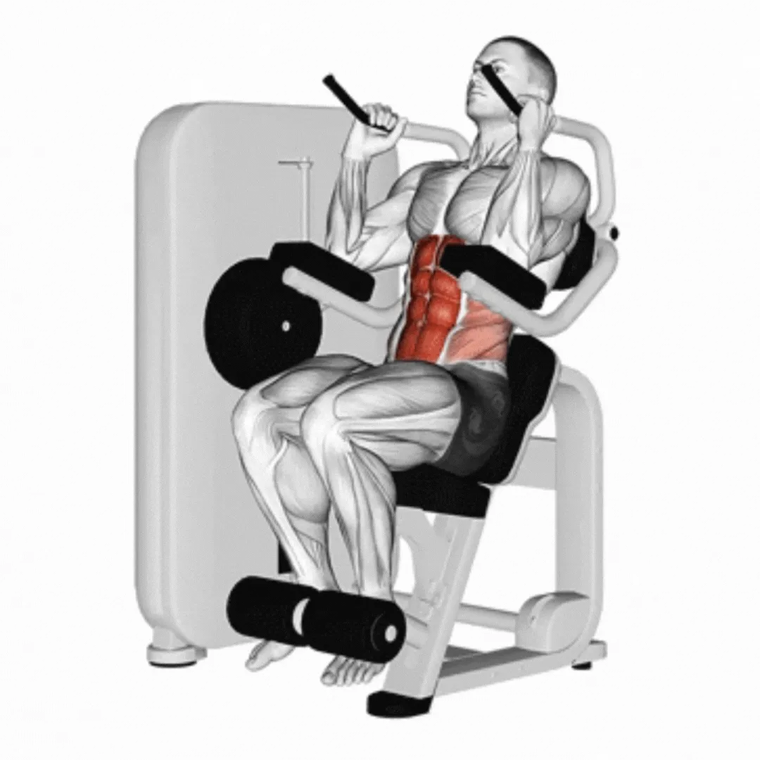 Seated Crunch Machine