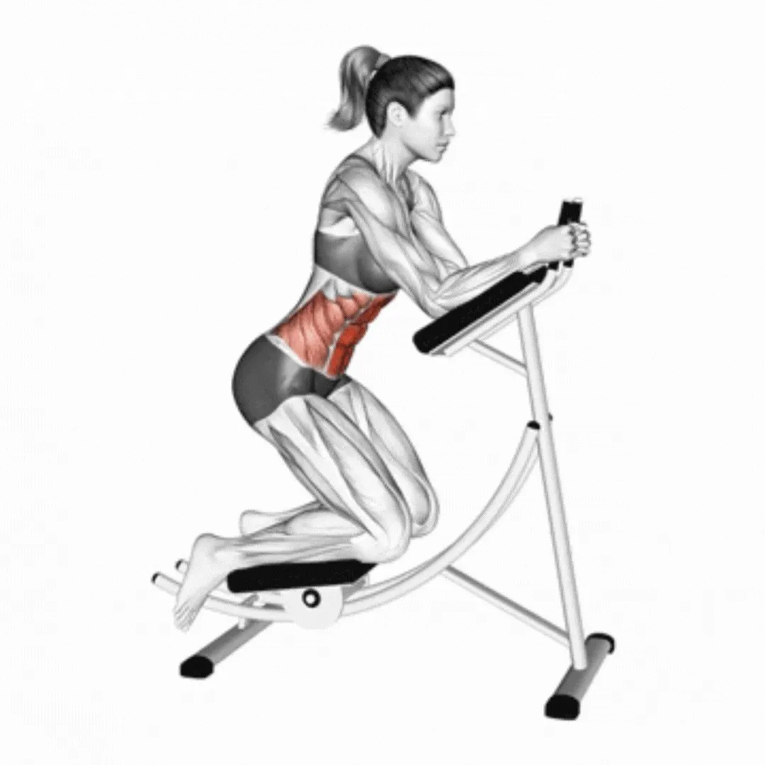 Ab Coaster Machine