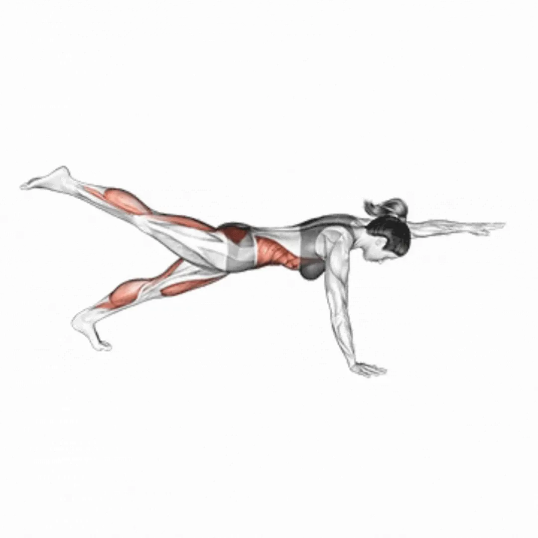 Front Plank With Arm And Leg Lift