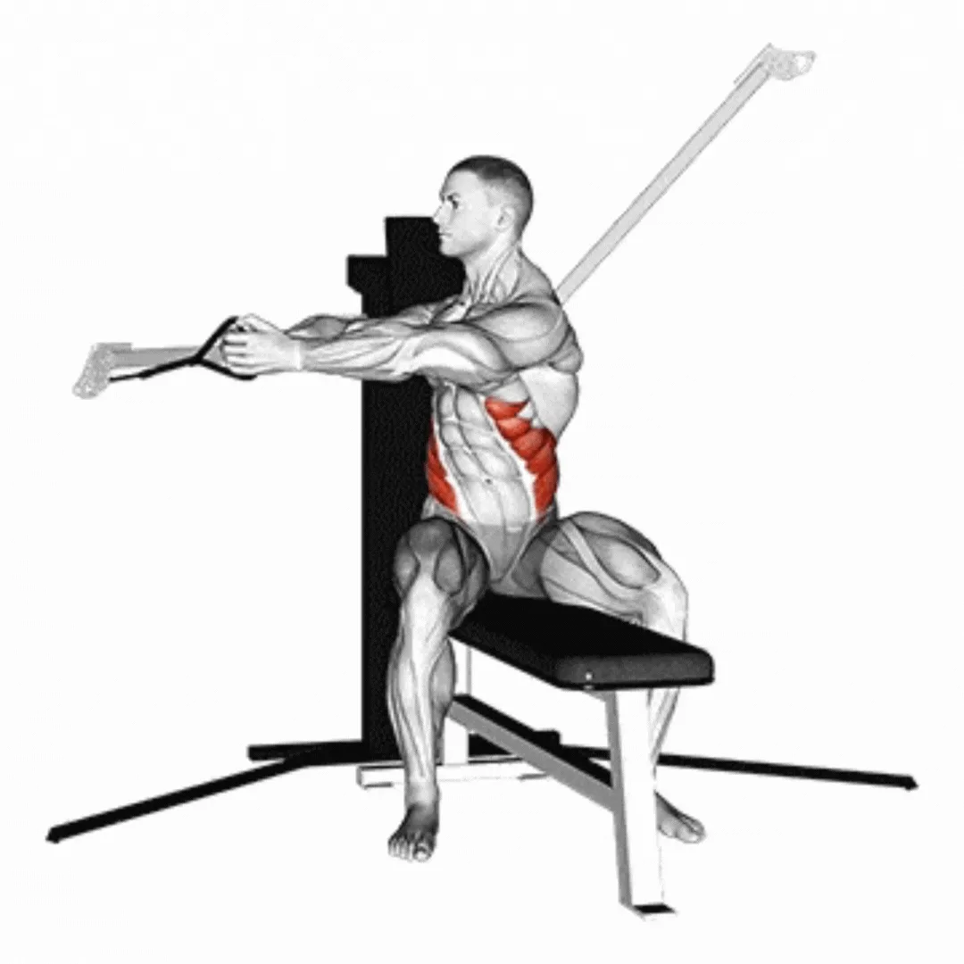 Seated Cable Twist