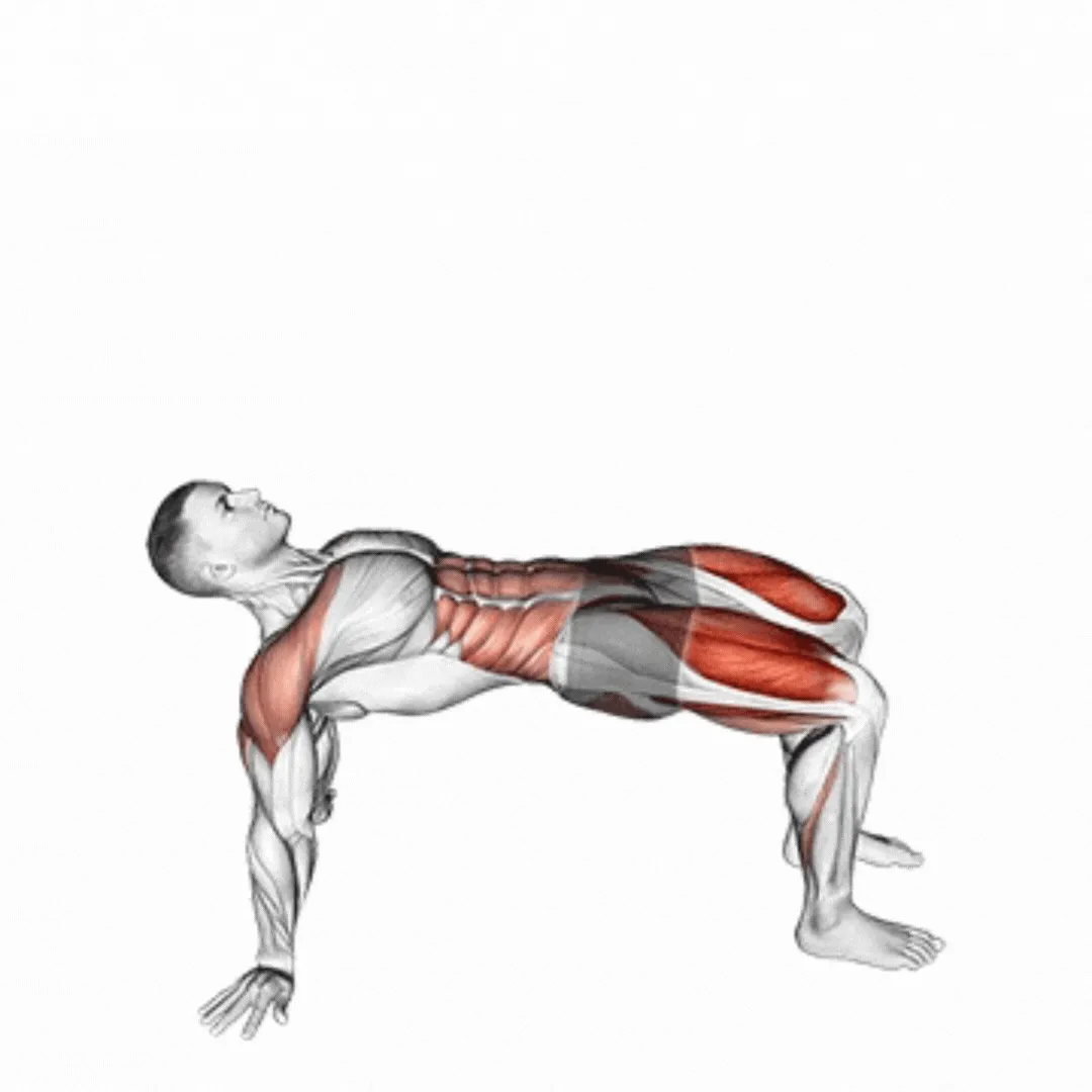 Reverse Plank Kicks