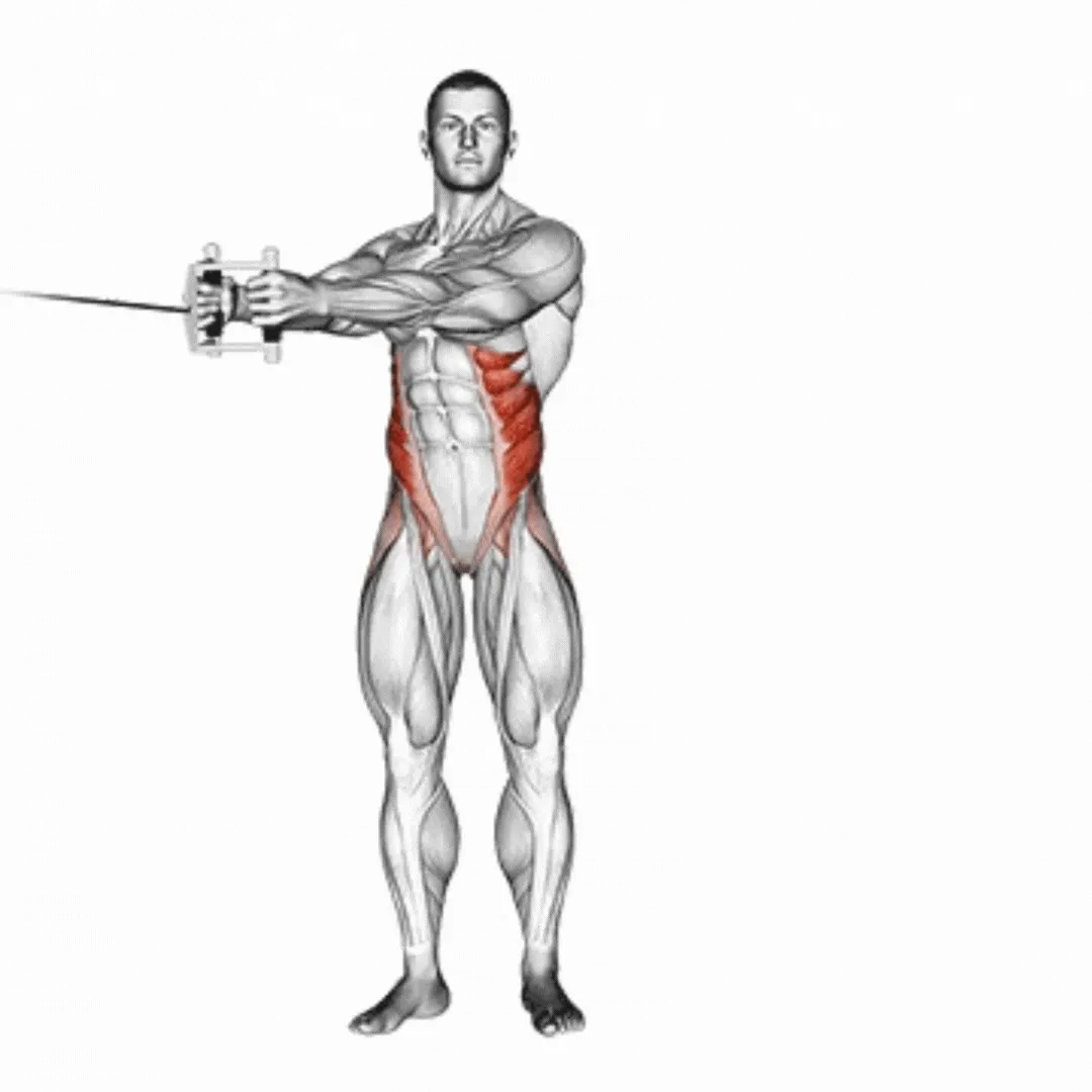 Standing Cable Twist