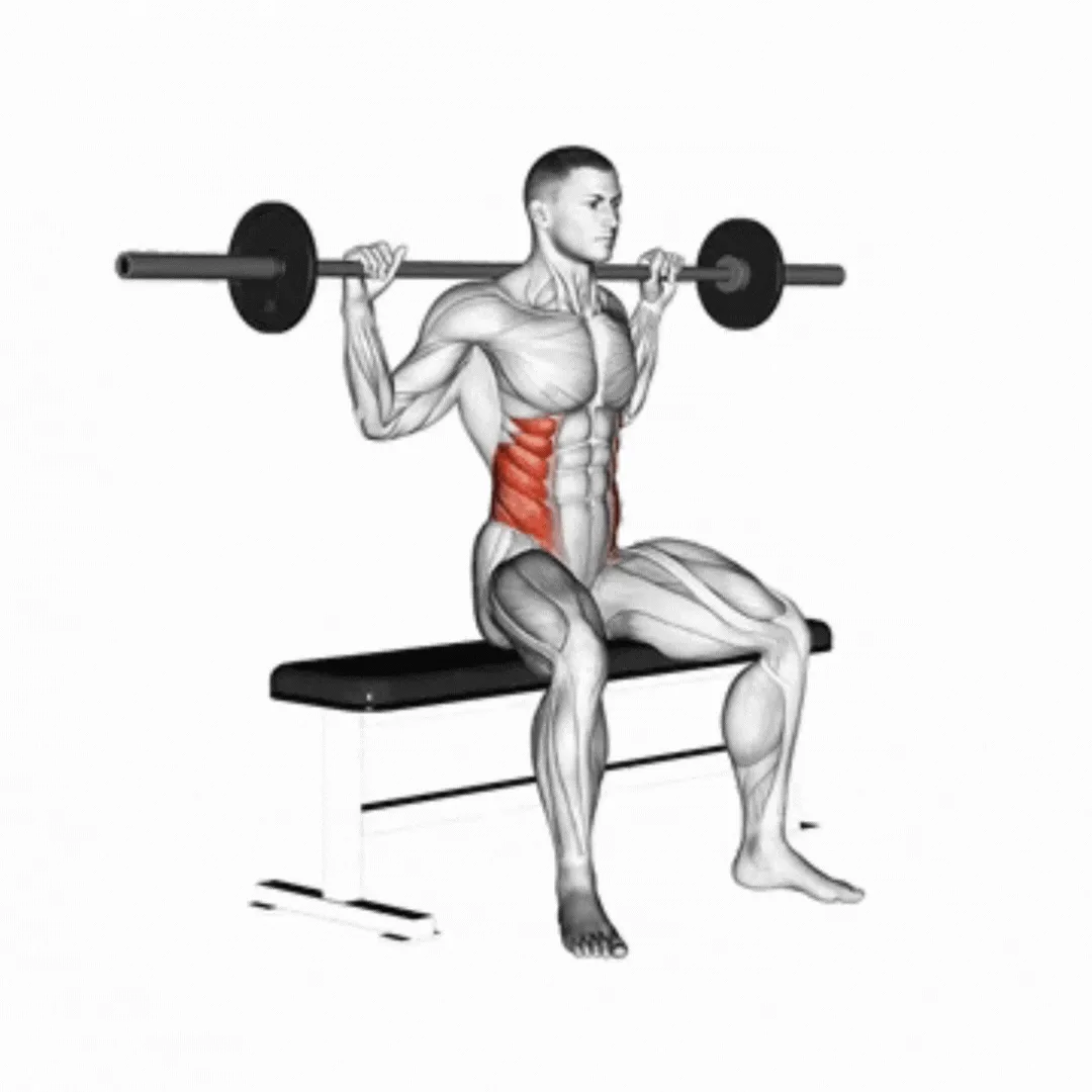 Seated Barbell Twist