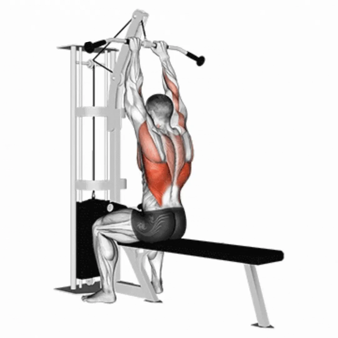 Seated Cable High Row
