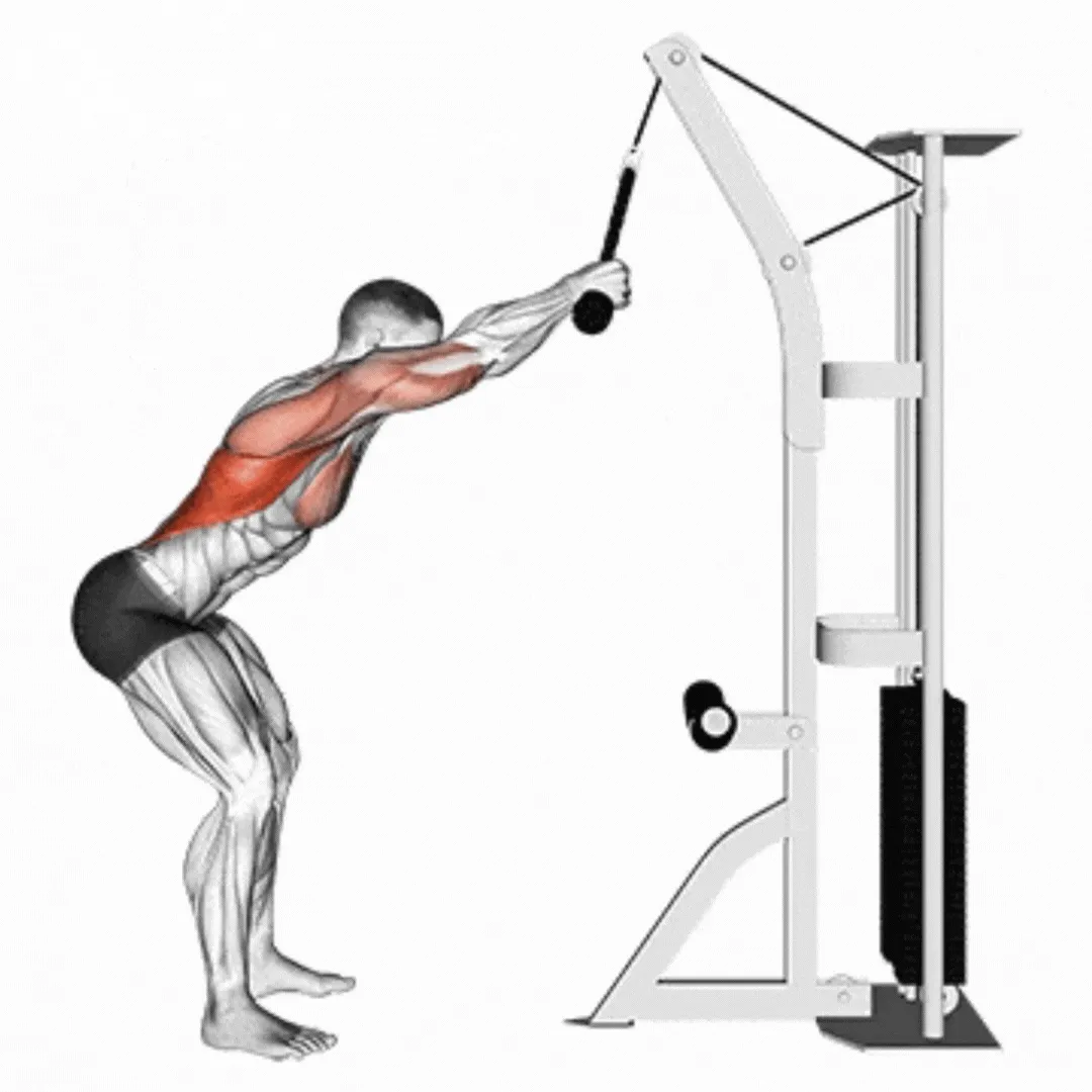 Rope Straight Arm Pulldown (Version 2)