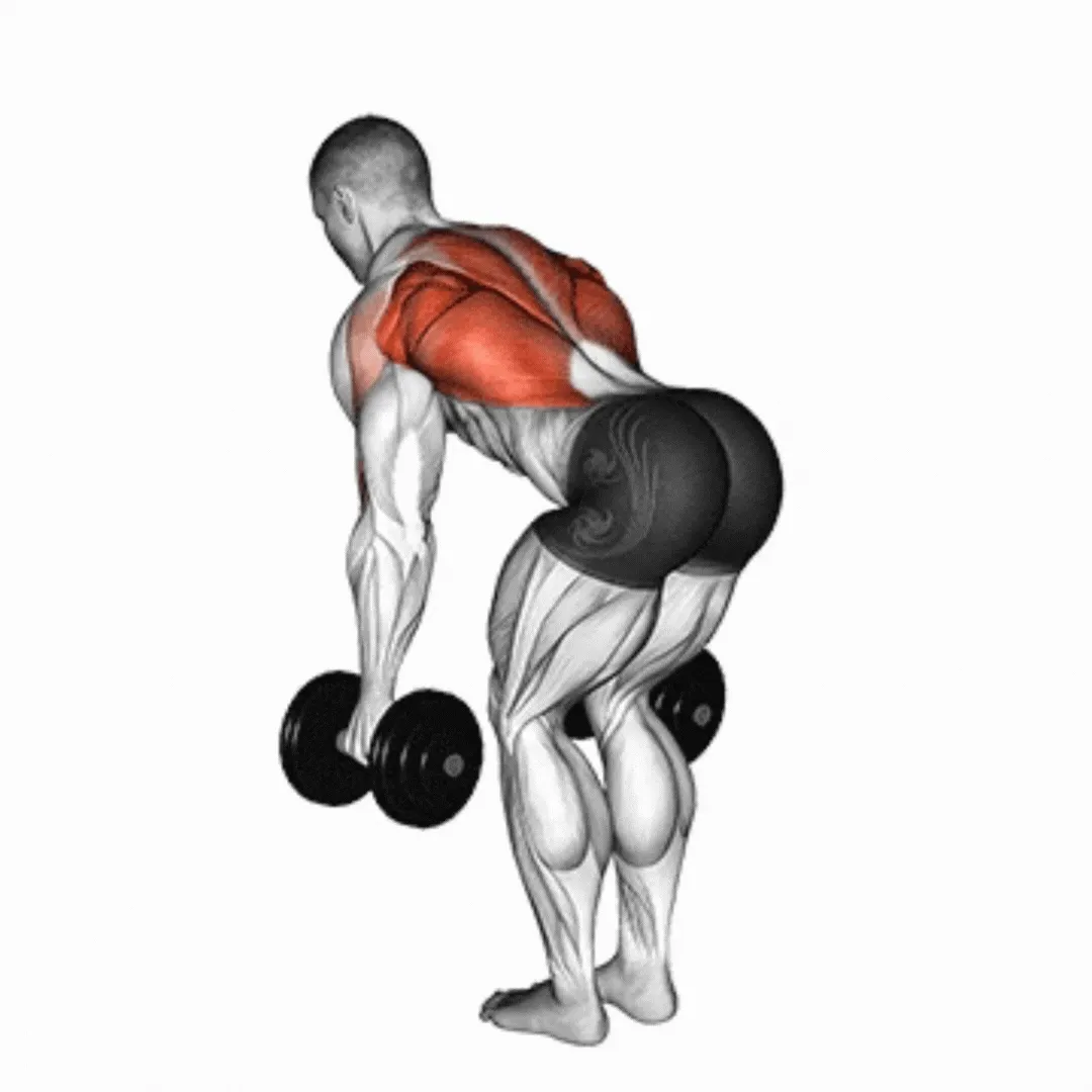 Dumbbell Hammer Row