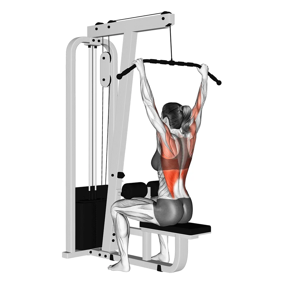 Lat Pulldown