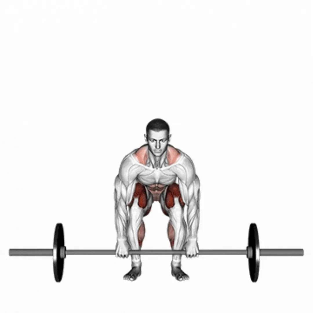 Barbell Deadlift