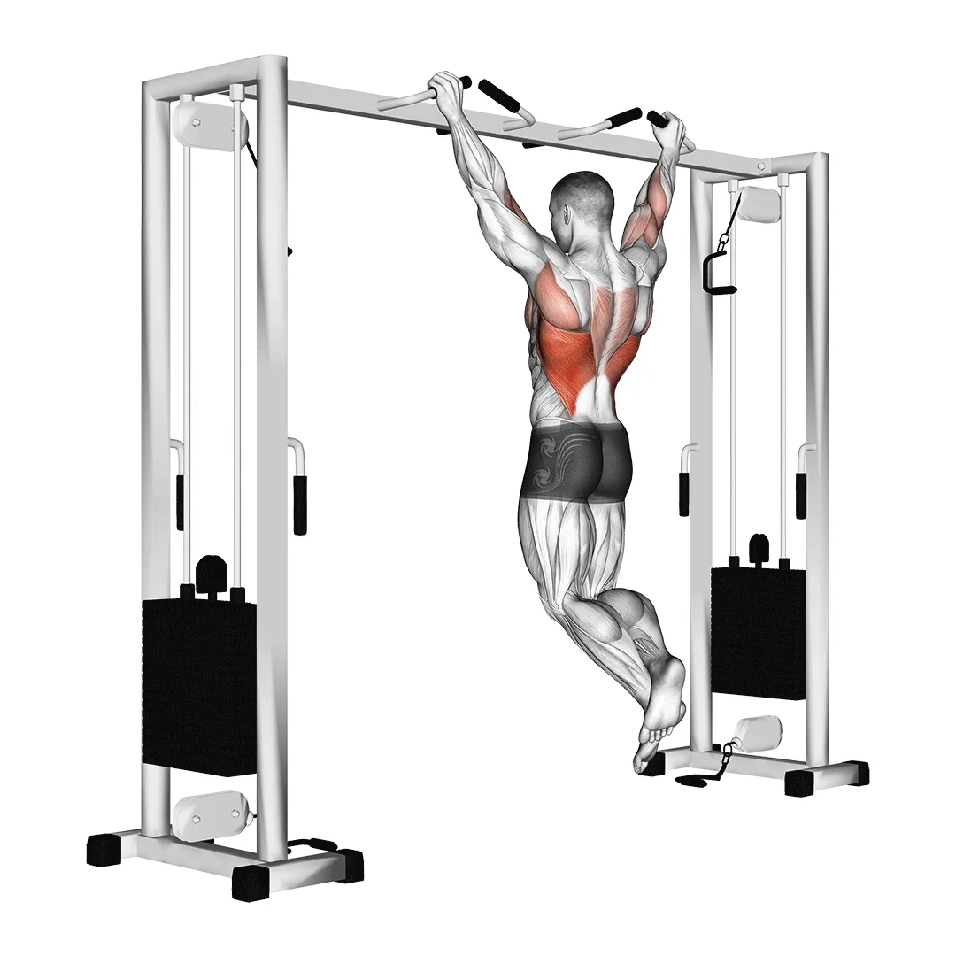 Pull-Up