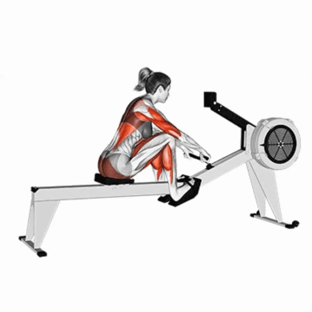 Row Machine