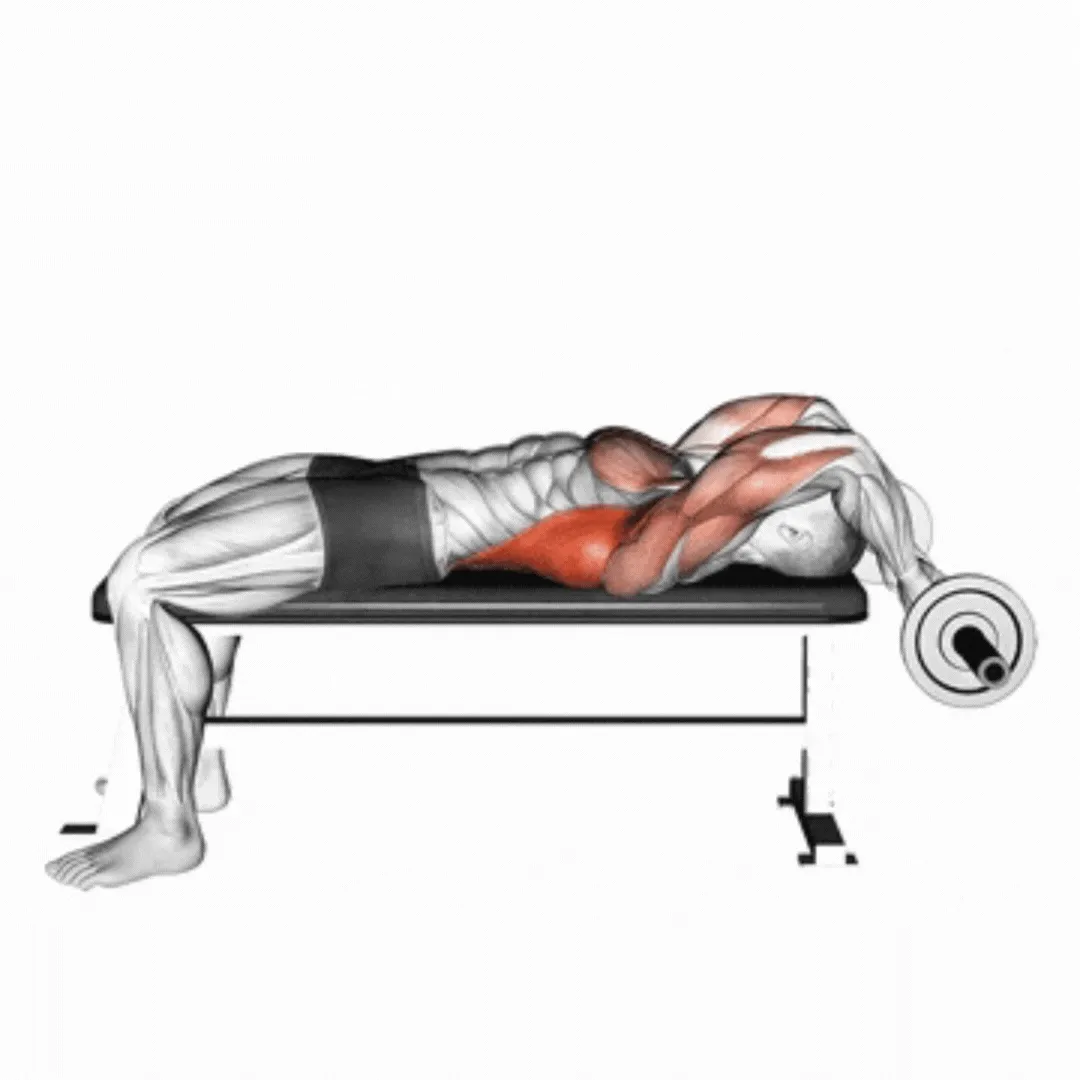 EZ-Bar Bent Arm Pullover