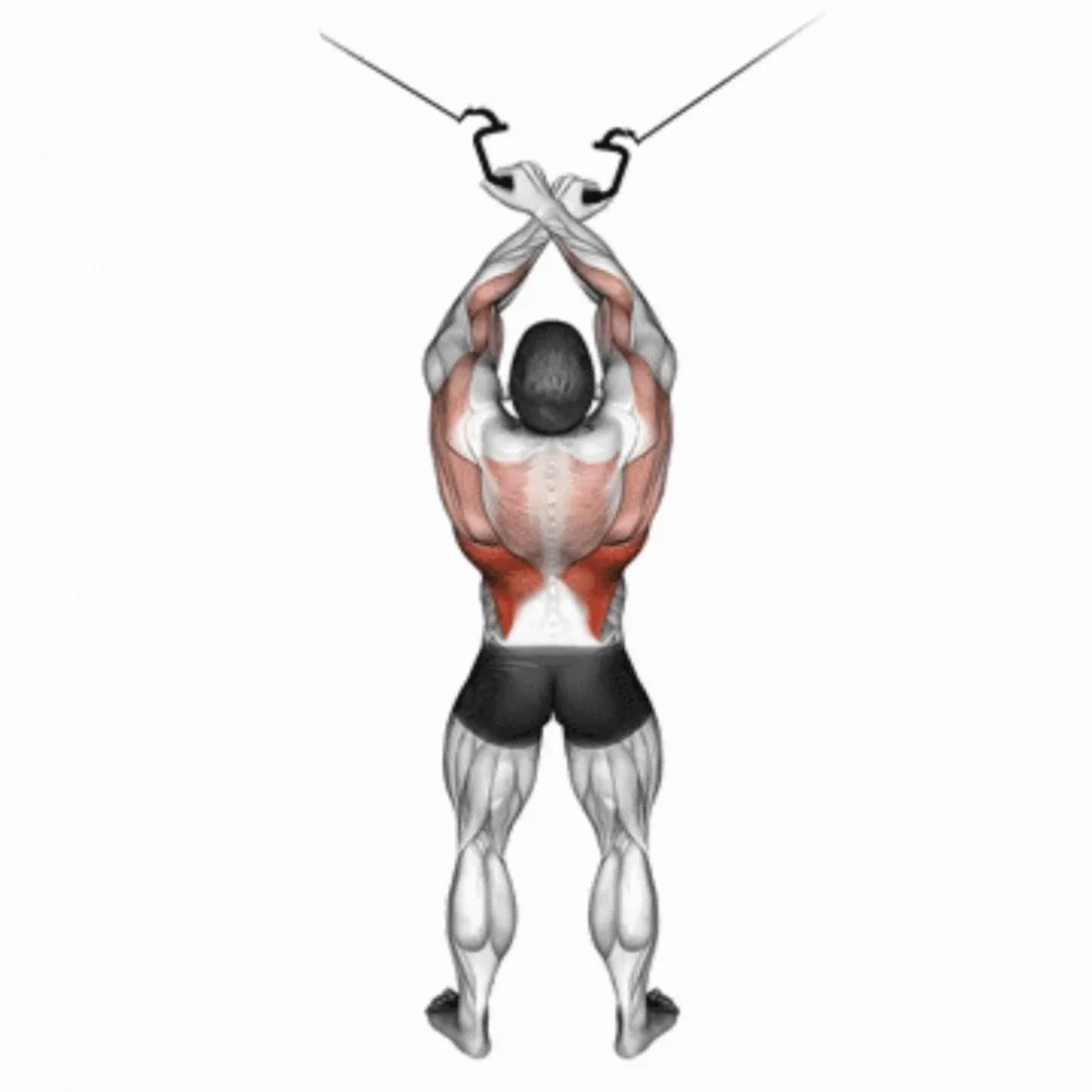 Cable Cross-over Lat Pulldown