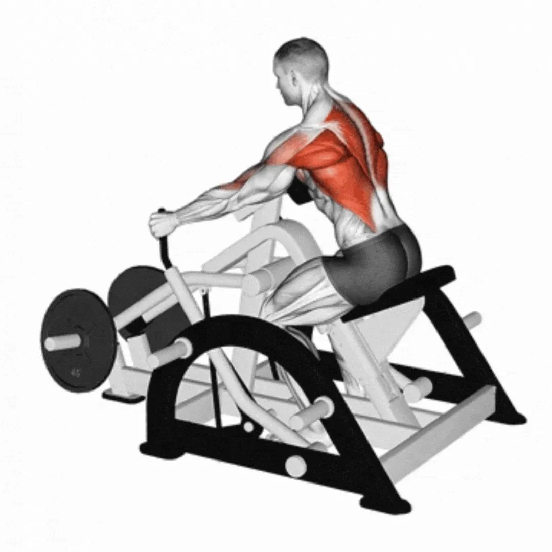 Plate Loaded Seated Row