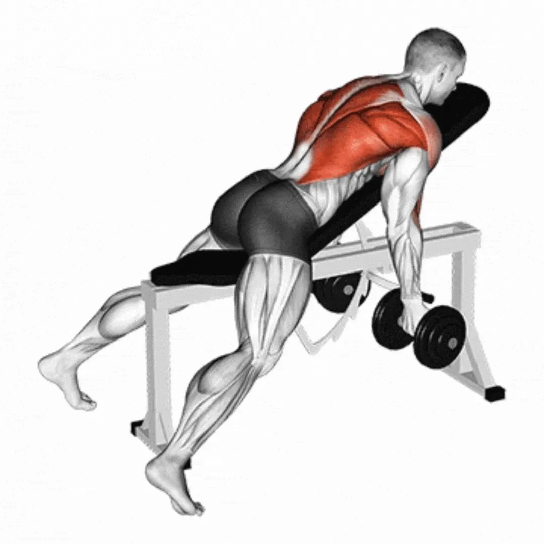 Incline Dumbbell Hammer Row