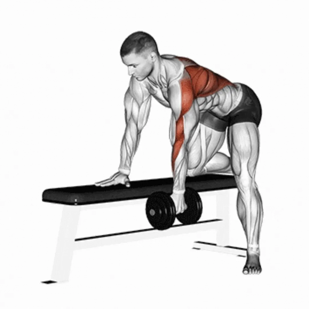Bent Over Dumbbell Row