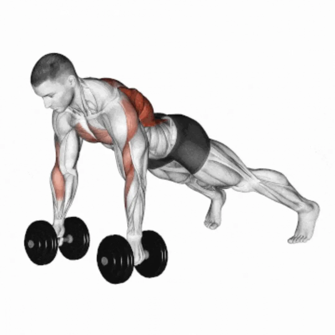 Dumbbell Renegade Row
