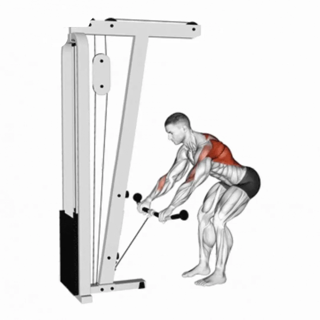 Cable Bent Over Row