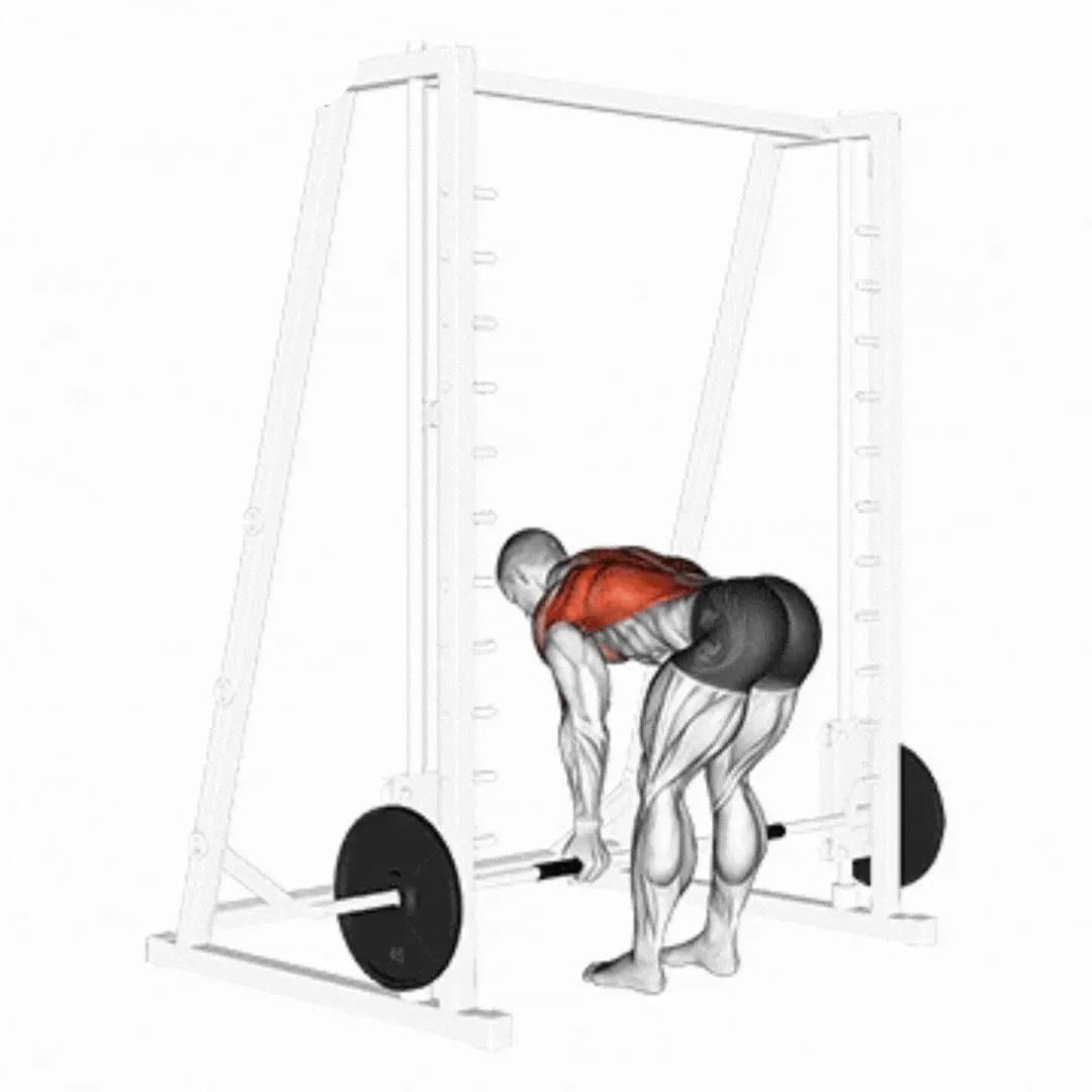 Smith Machine Bent Over Row Reverse Grip