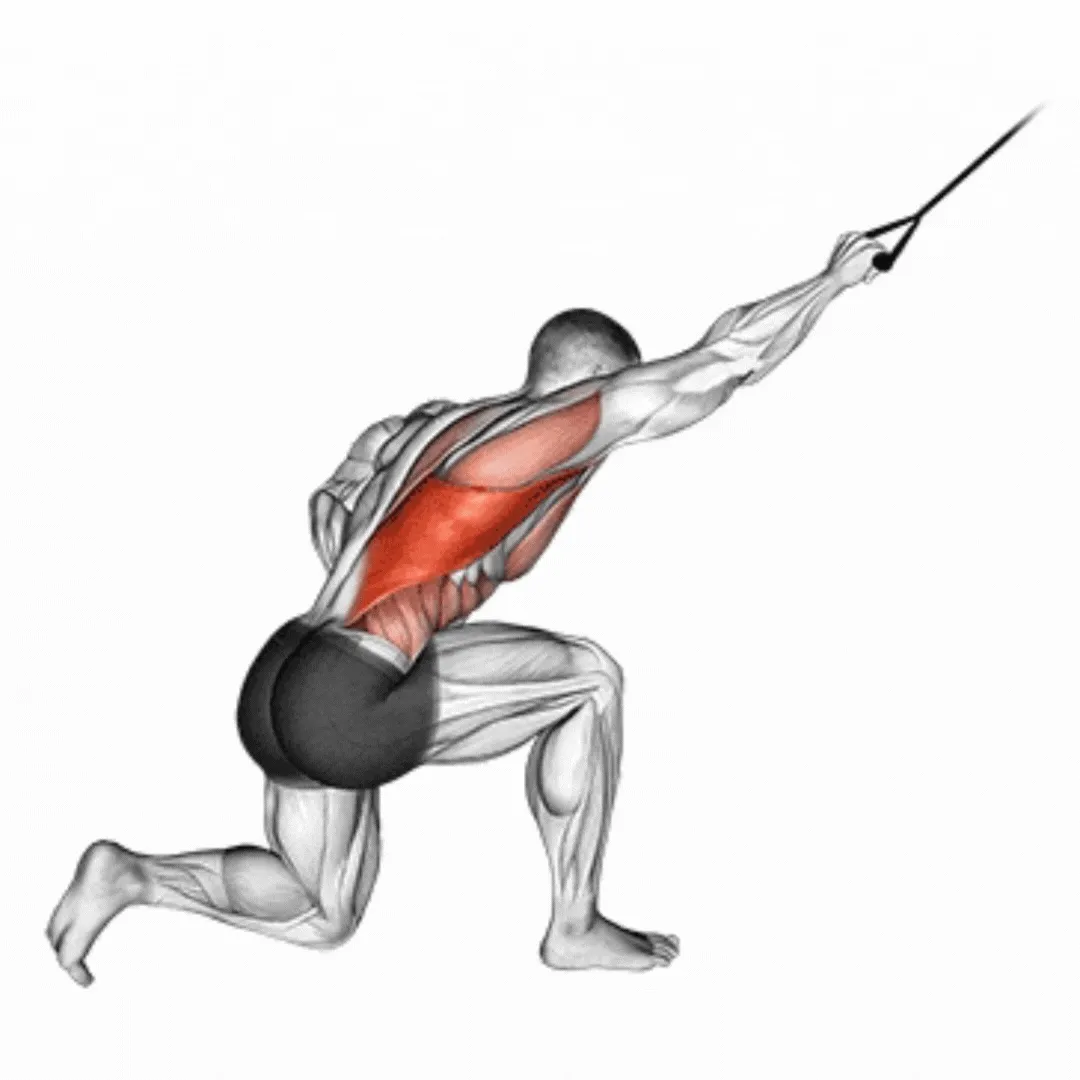 Half Kneeling Lat Pulldown