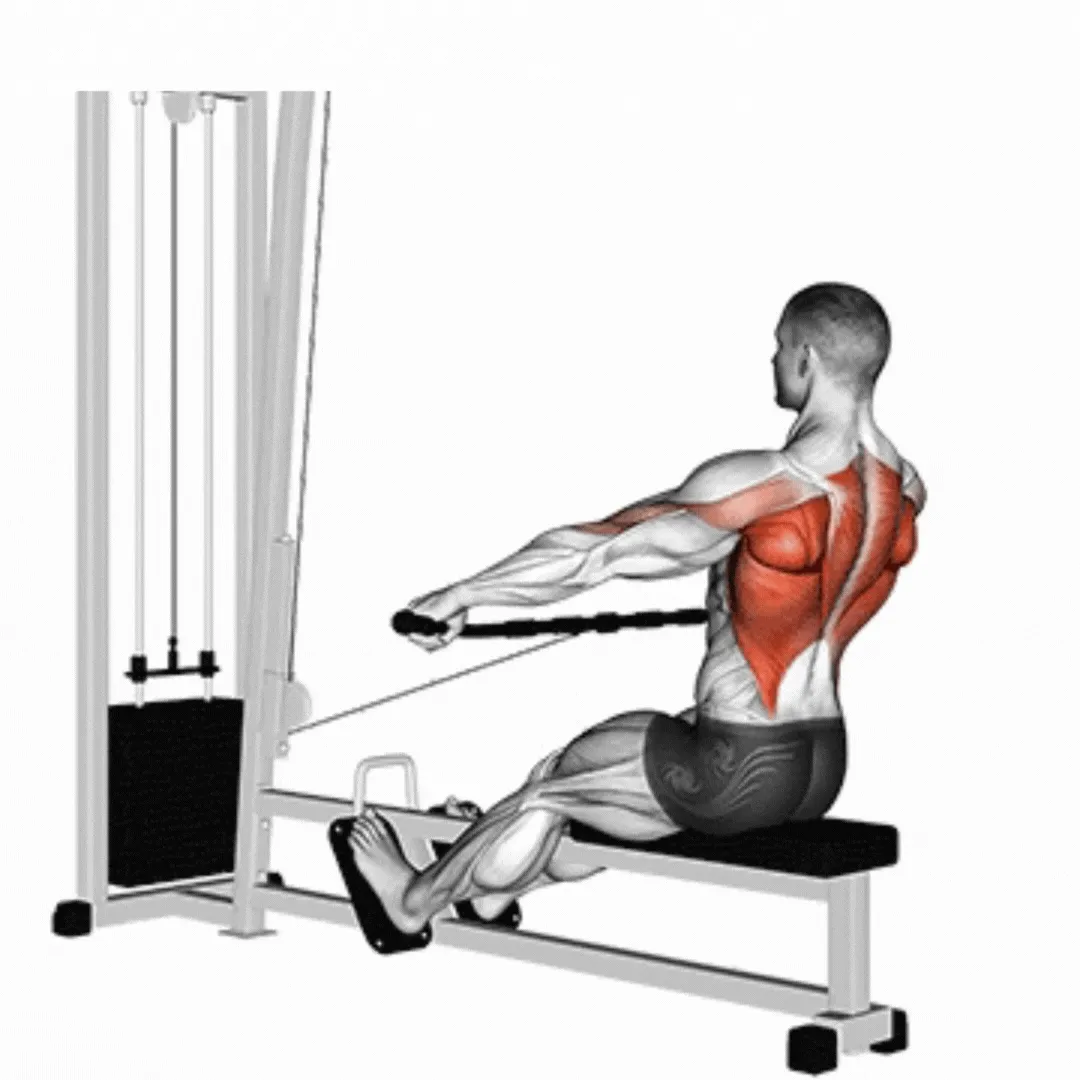 Seated Cable Wide Grip Row