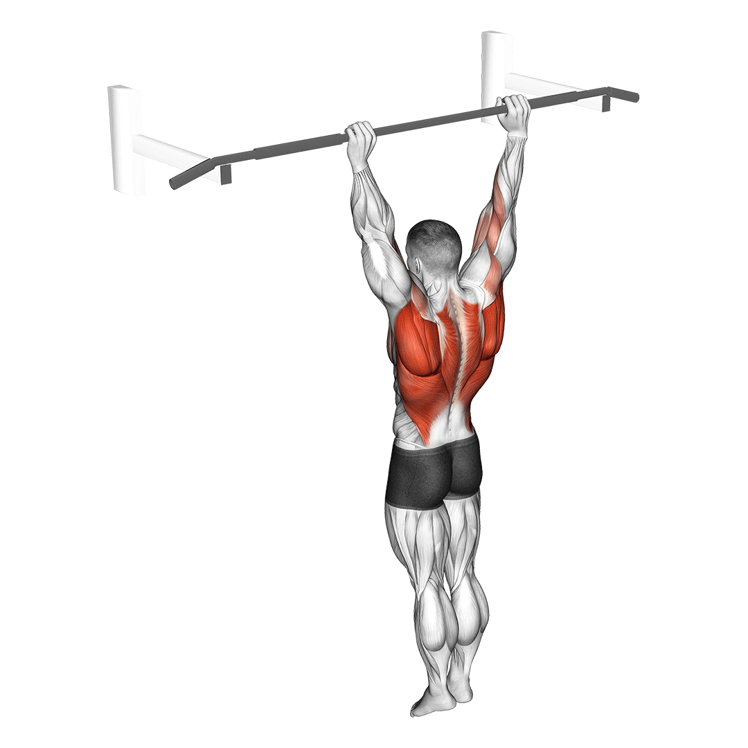 Archer Pull Up