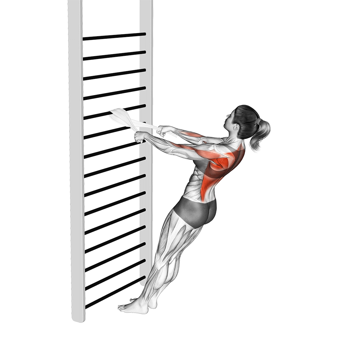Bodyweight Towel Row