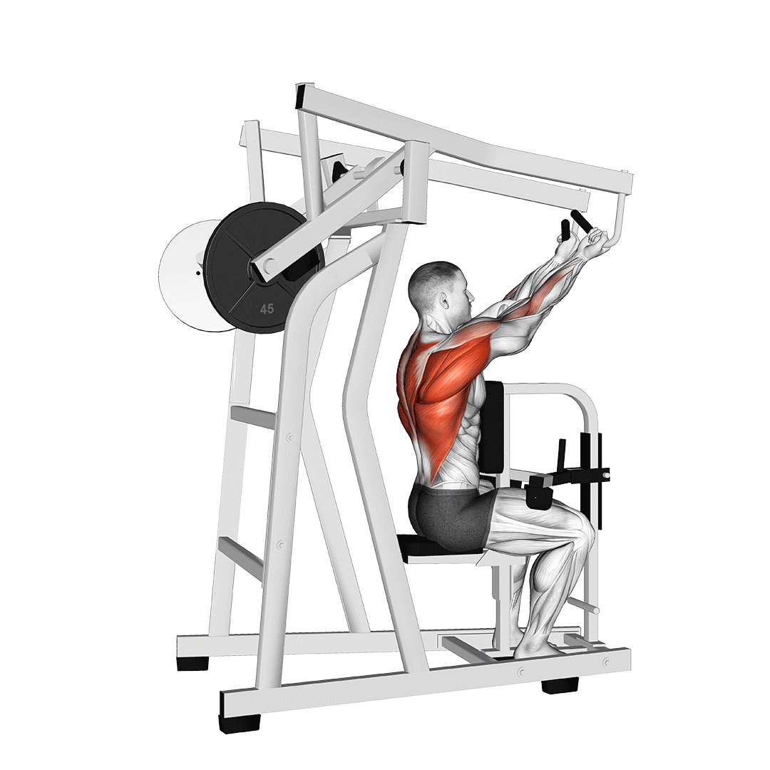 High Row Reverse Grip