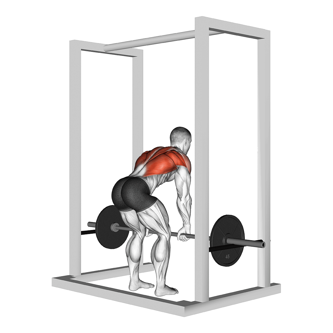 Power Rack Row