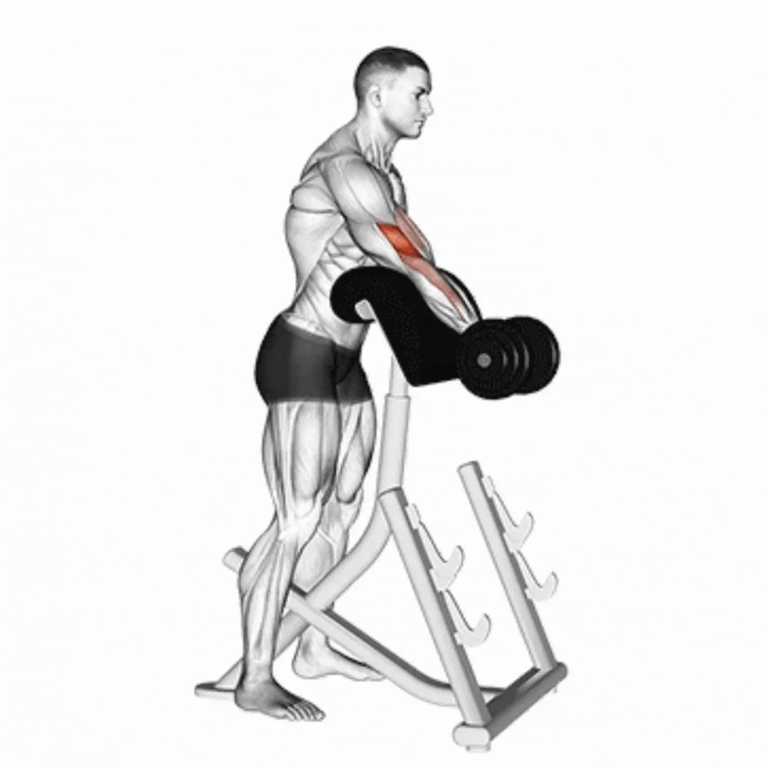 Dumbbell Standing Preacher Curl