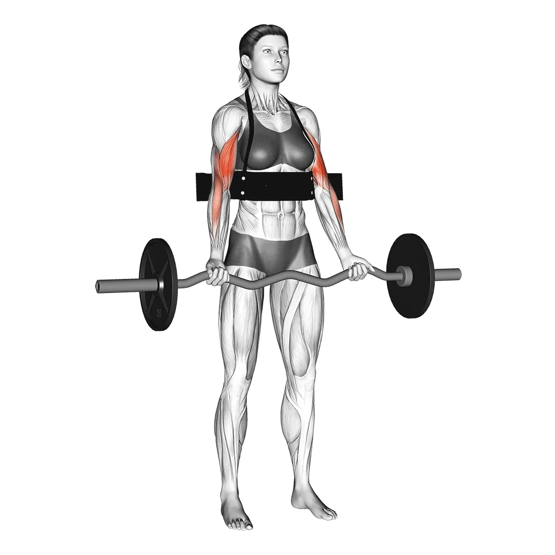 Barbell Curl On Arm Blaster