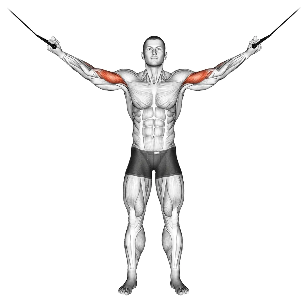 Overhead Cable Curl