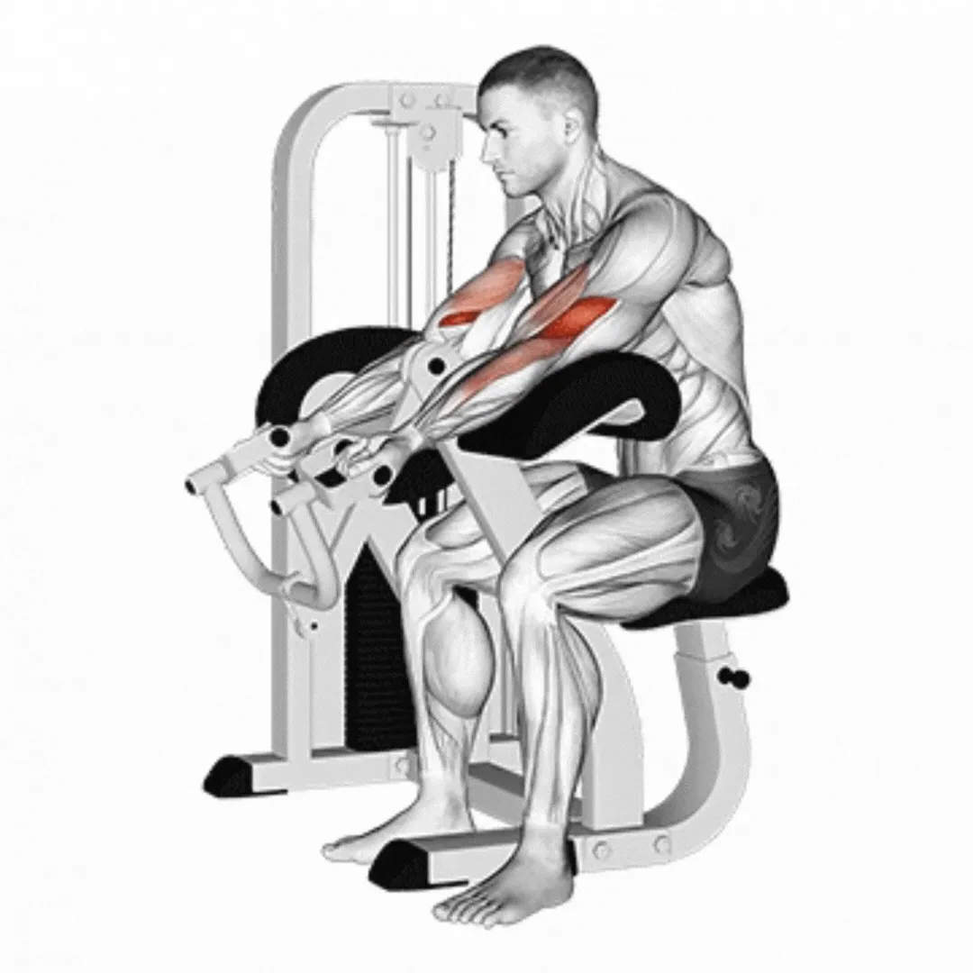Lever Hammer Curl Machine