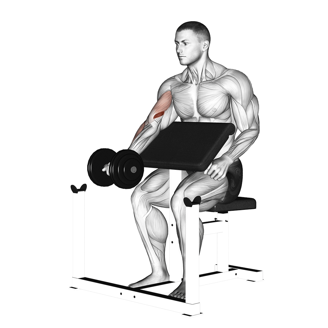 One-Arm Dumbbell Scott Curl