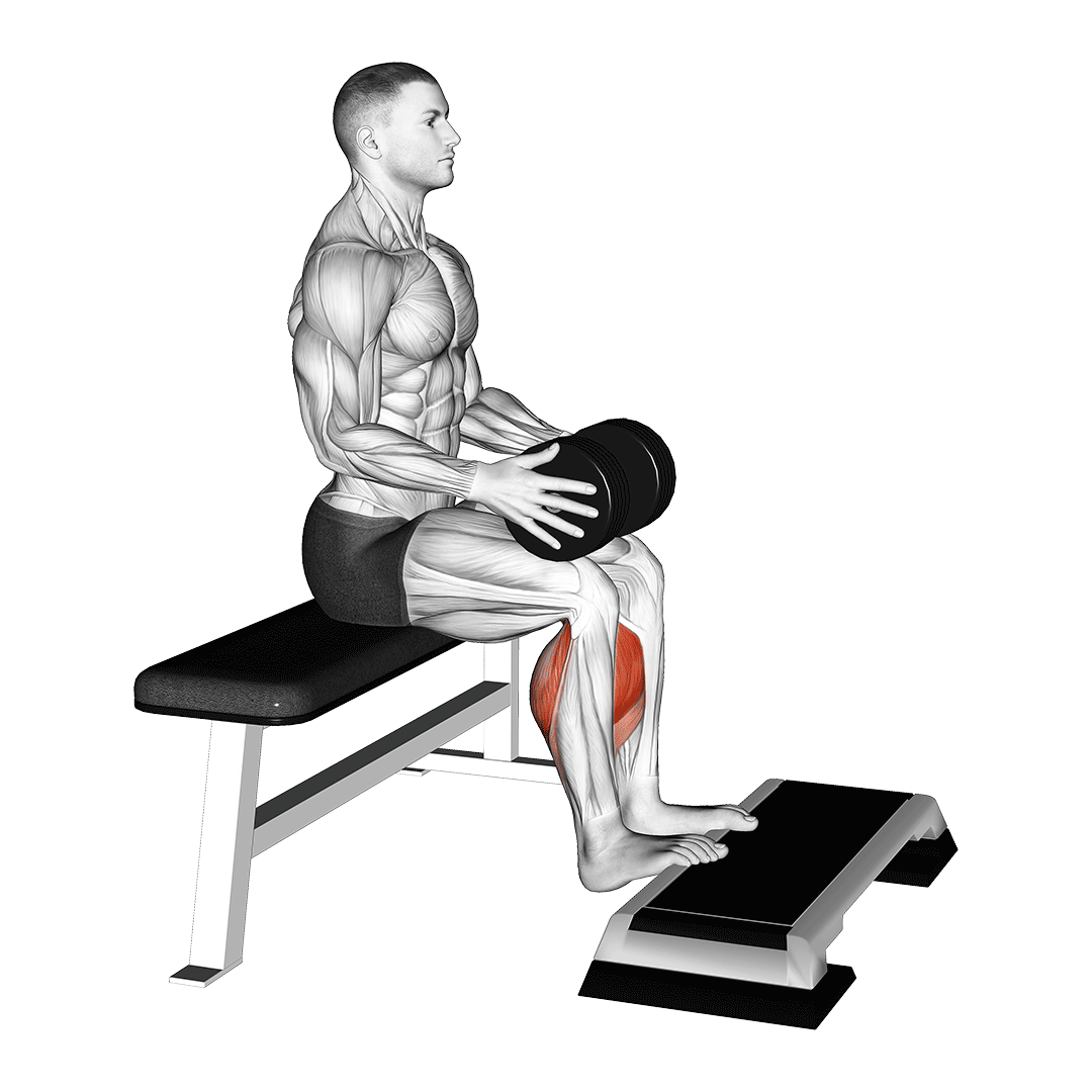Weighted Calf Raise