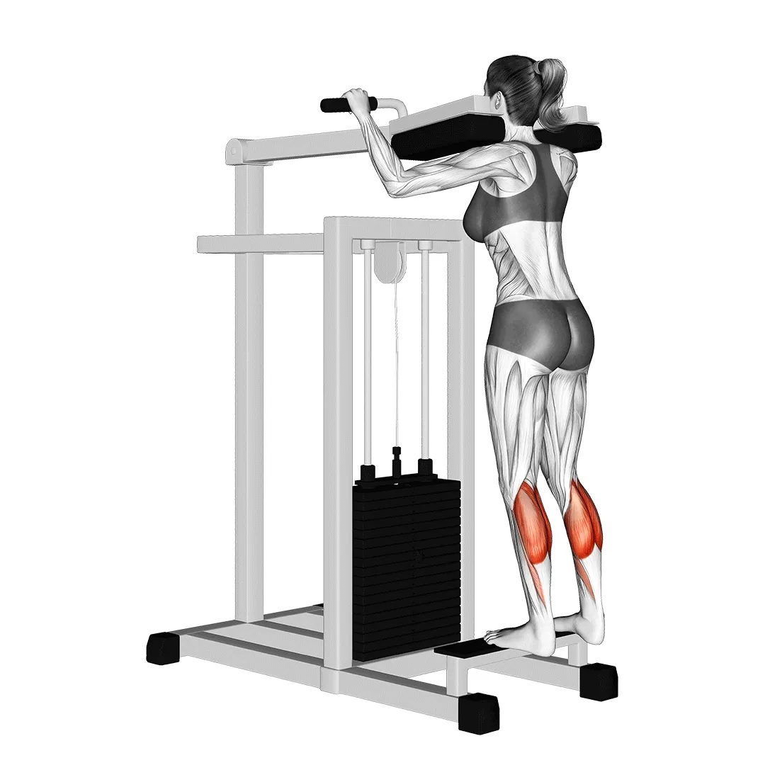 Standing Calf Raise