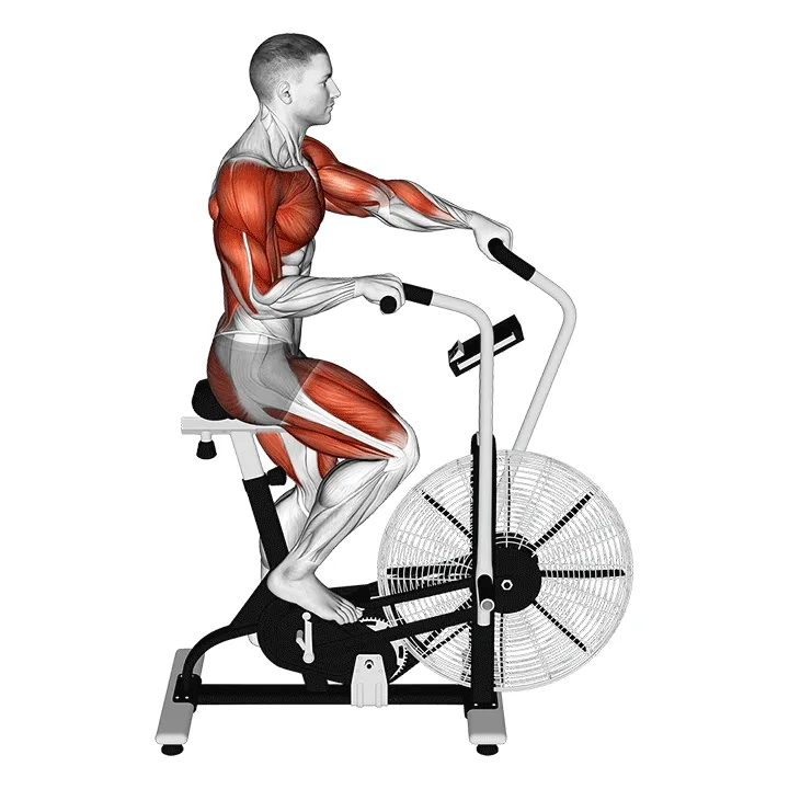 Assault AirBike