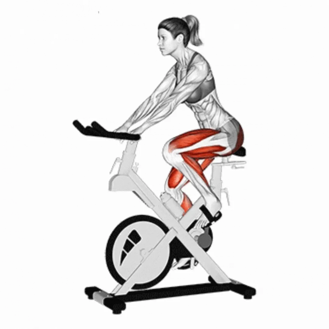 Bike for Aerobic Workout