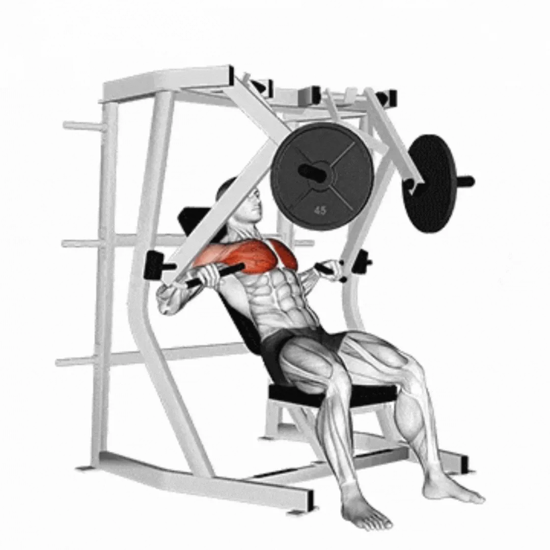 Decline Chest Press Machine