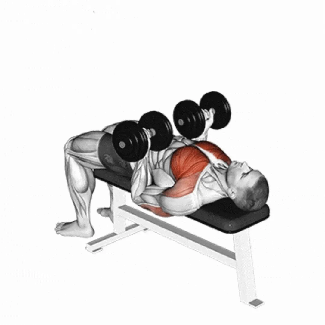 Dumbbell Reverse Grip Chest Press