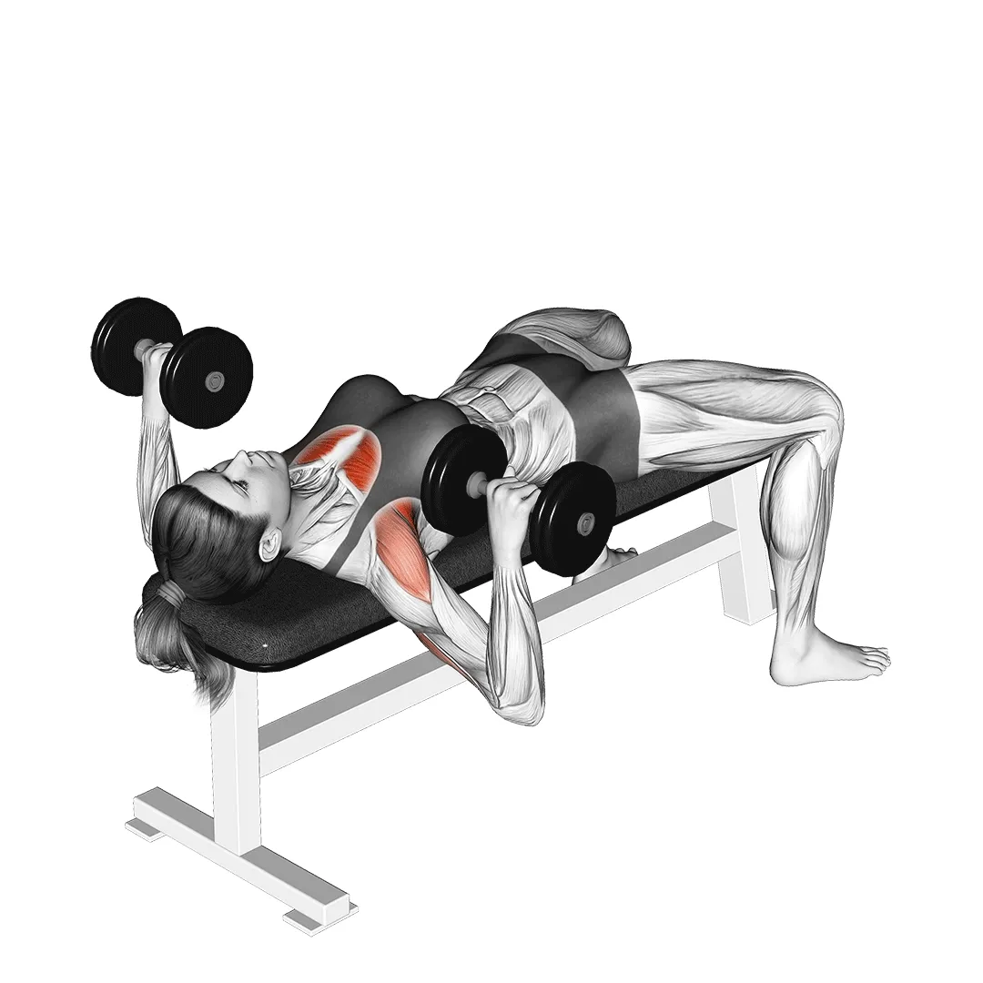 Dumbbell Bench Press