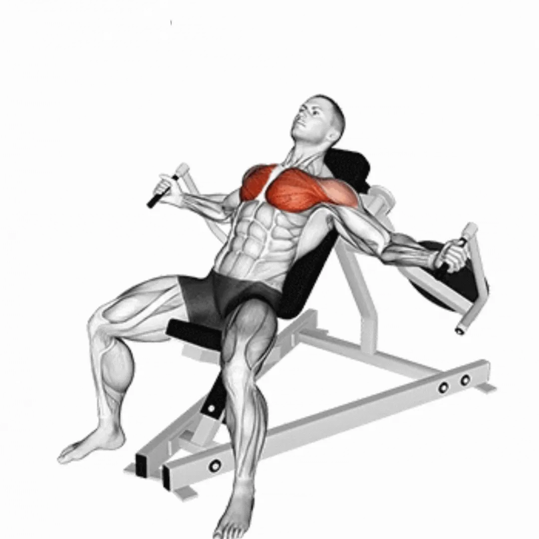 Incline Chest Fly Machine