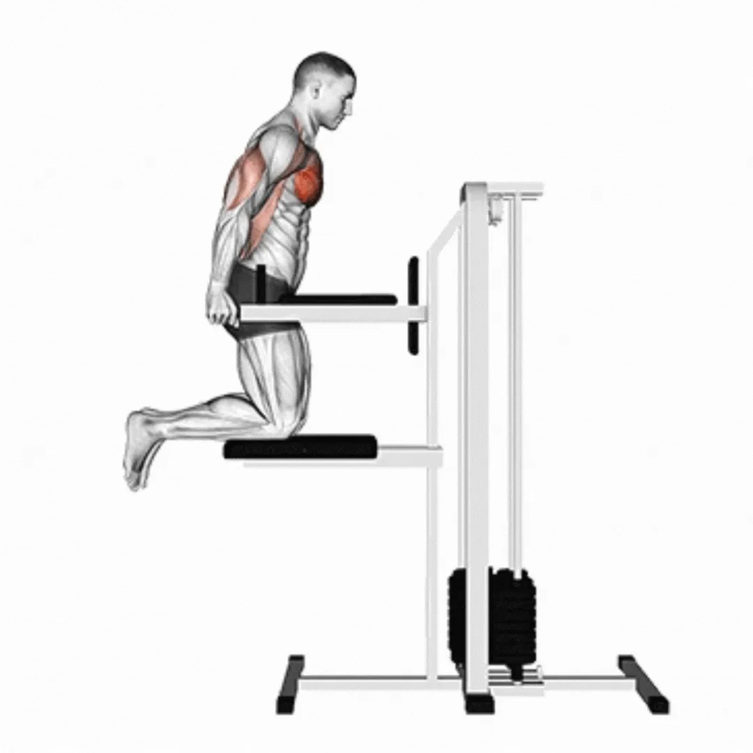 Assisted Chest Dips